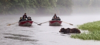 野生dong物之旅