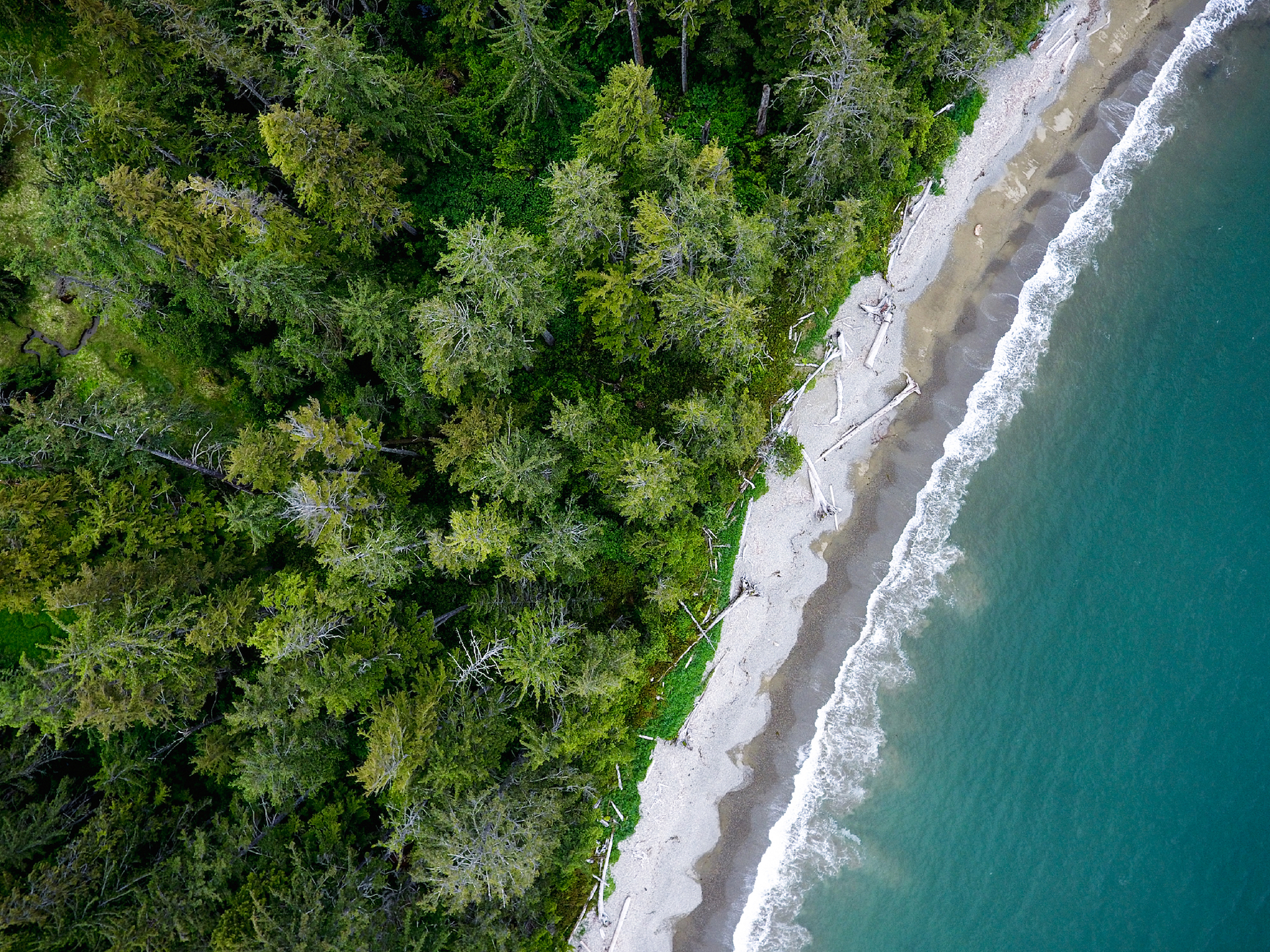Aerial view of Rennell Sound coastline in Haida Gwaii温